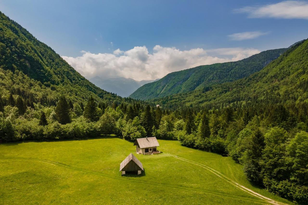 Appartamento Pocitniska Hisa Voje Srednja Vas v Bohinju Esterno foto