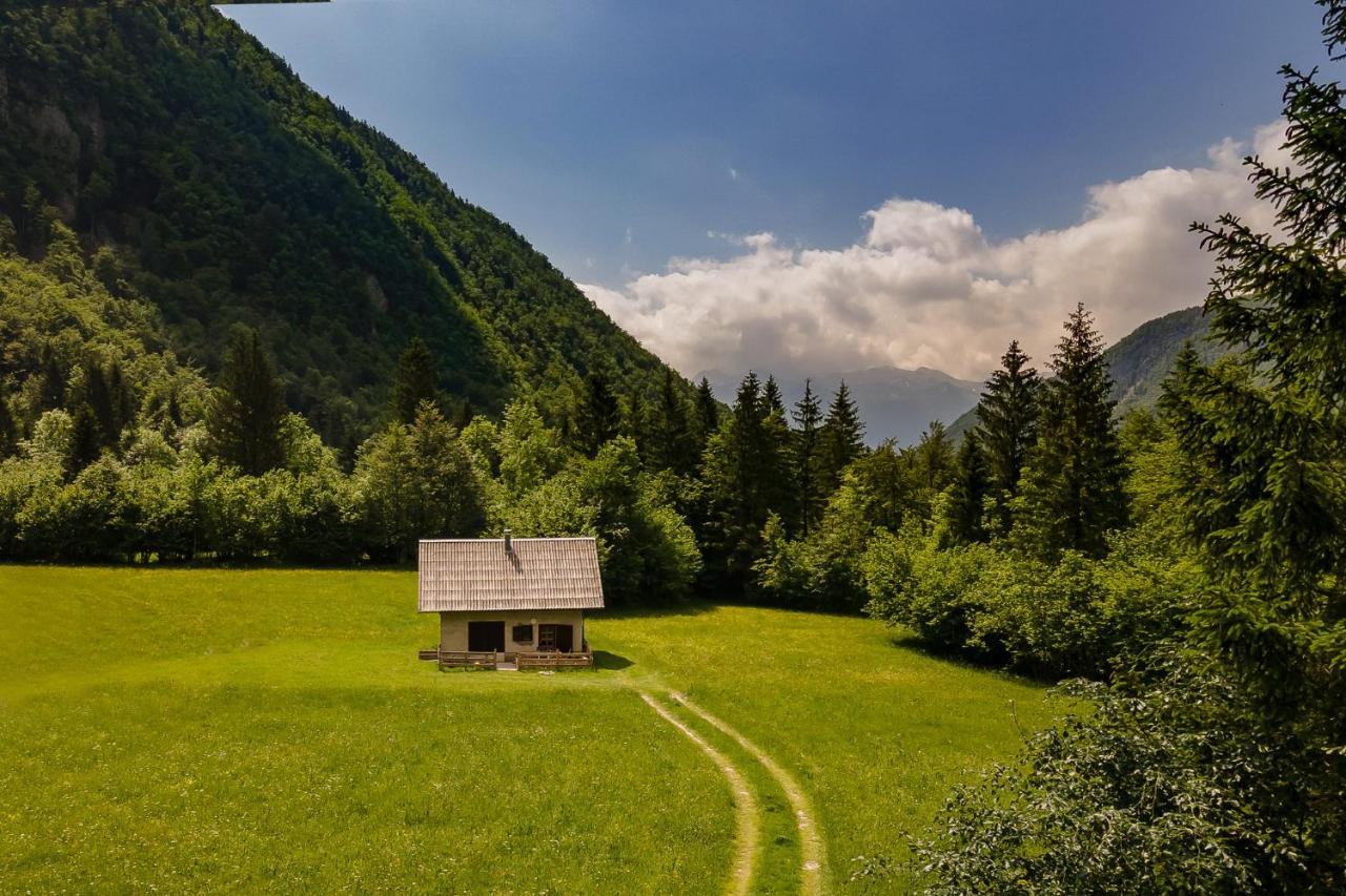 Appartamento Pocitniska Hisa Voje Srednja Vas v Bohinju Esterno foto