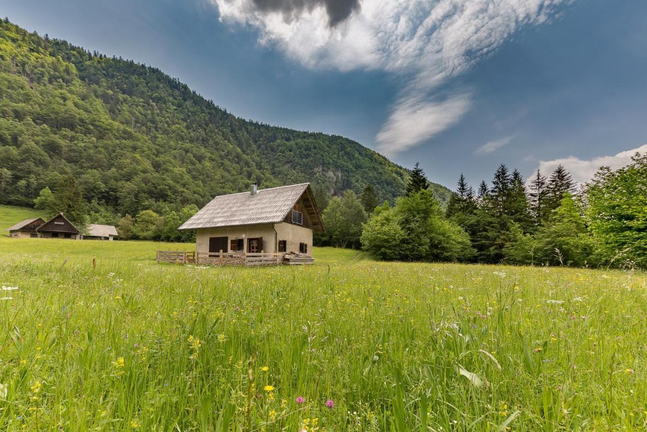 Appartamento Pocitniska Hisa Voje Srednja Vas v Bohinju Esterno foto